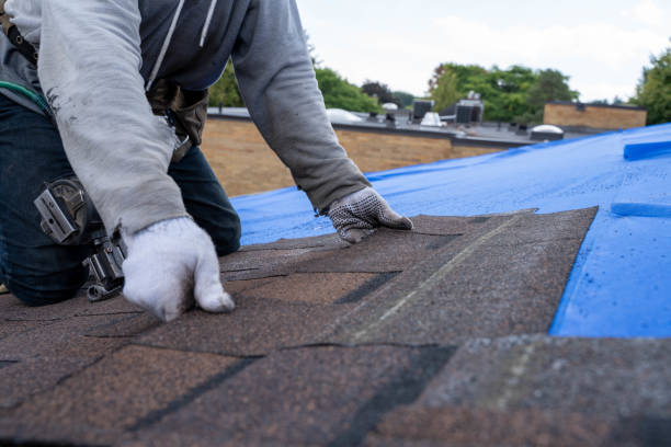 Best Roof Leak Repair  in Fort Rucker, AL