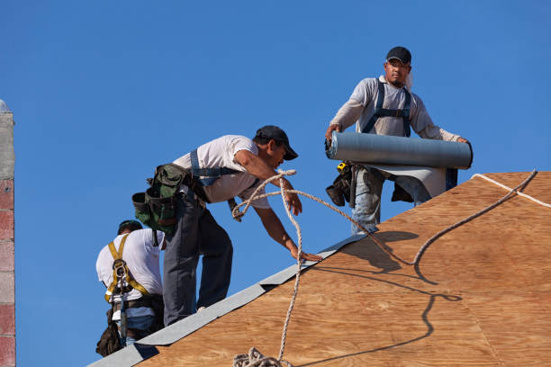 Best New Roof Installation  in Fort Rucker, AL