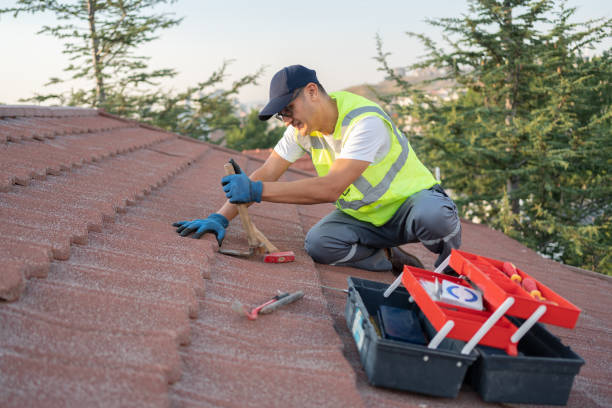Best Roof Maintenance Services  in Fort Rucker, AL