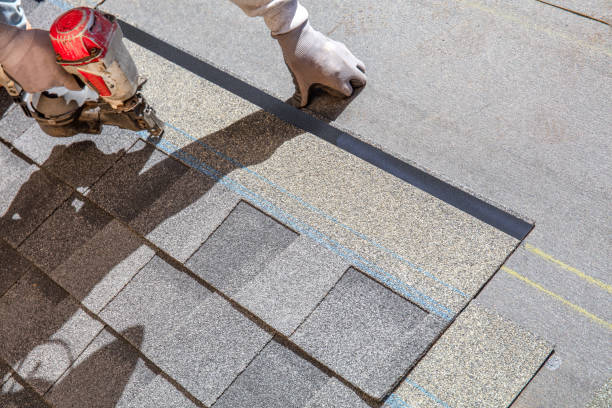 Best Roof Repair Services  in Fort Rucker, AL