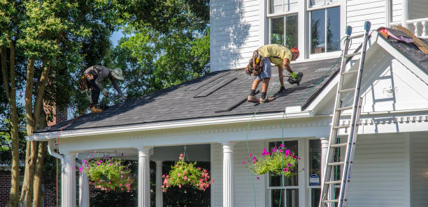 Best Metal Roofing Contractor  in Fort Rucker, AL