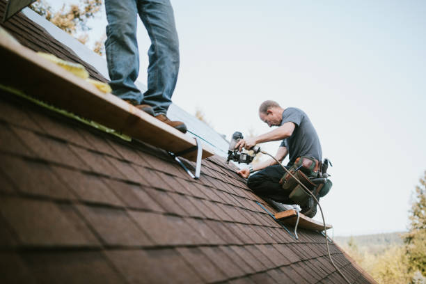 Best Roof Waterproofing Services  in Fort Rucker, AL
